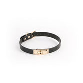 Sadie Collar - Embrace Elegance and Pleasure Collars and Leads